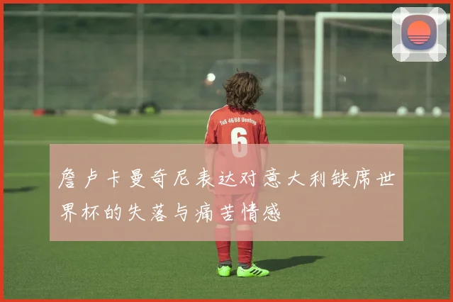 詹卢卡曼奇尼表达对意大利缺席世界杯的失落与痛苦情感